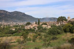 ¿Quieres conocer el precio del alquiler de vivienda en Mallorca este 2023 a través de una guía detallada? En este artículo lo tienes.